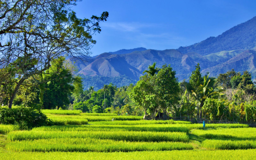 Pemandangan Gampong Lambirah